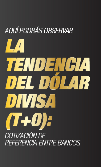 AQUÍ PODRÁS OBSERVAR LA TENDENCIA DEL DÓLAR DIVISA (T+0): COTIZACIÓN DE REFERENCIA ENTRE BANCOS.